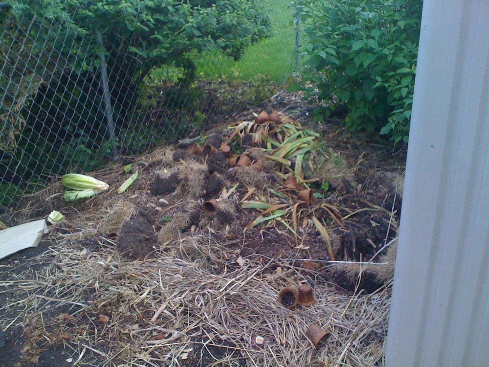 Photo 1 for Backyard Garden Debris & Yard Waste Removal